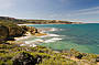 Two Day Great Ocean Road & Phillip Island Wildlife Adventure with Koala Photo