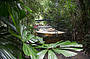Army duck at Rainforestation