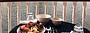 Ultimate River Cruise + Dinner - Seafood Sunday